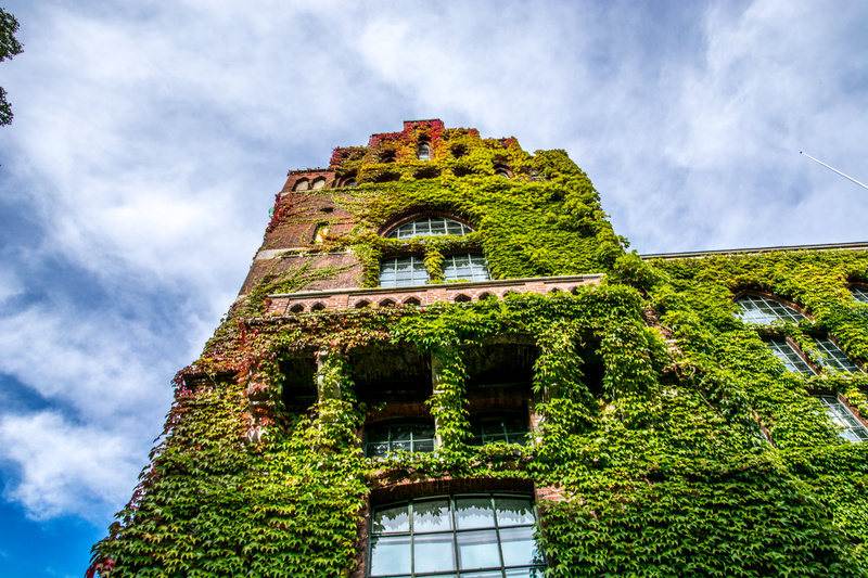 Universitet i lund