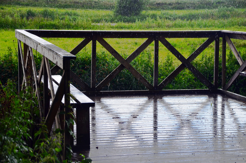 regn