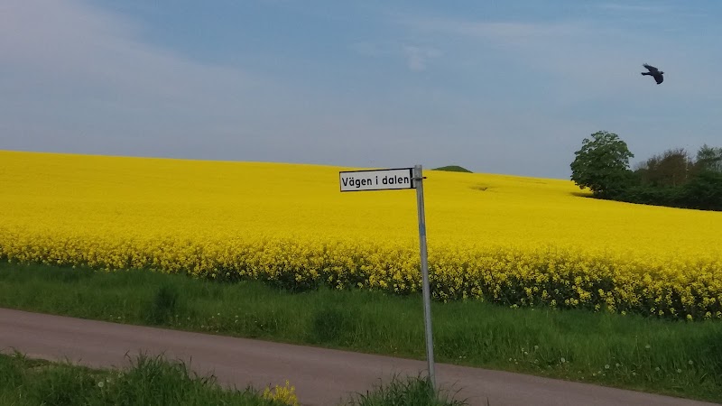 Singelolycka och kökrock störde morgontrafiken mellan Gårdstånga och Lund