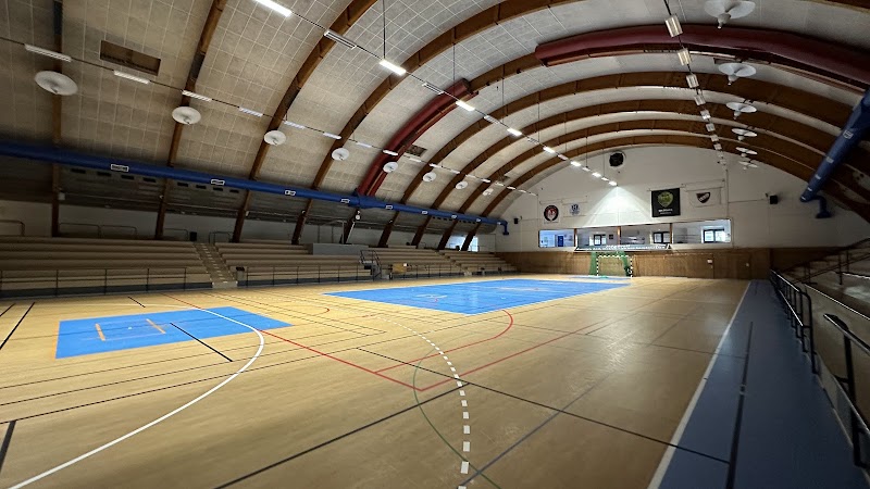 Lunds VK möter Gislaved i Idrottshallen