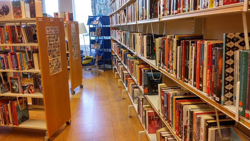 Fantasifredag med Tillsammansfest på Norra Fäladens bibliotek